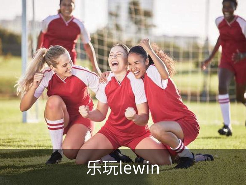 乐玩lewin概况